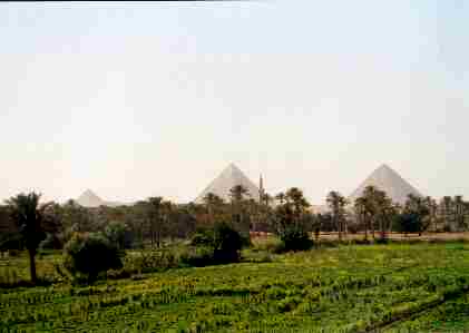 Click to Enlarge Picture